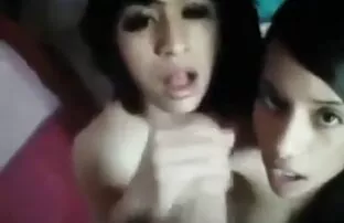 XXX جبهة تحرير مورو الإسلامية التمسيد افلام سكس حيوانات مع حيوانات شفتيها مع مرونة