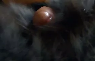 XXX الآسيوية يتلمس طريقه كرسي صديقه سكس حيوانات نسوان ذهب